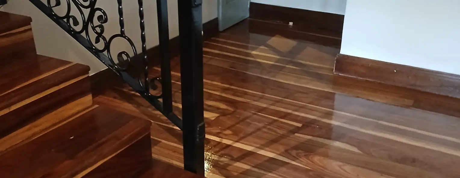 Sealed hardwood flooring running through an entrance hall and up a timber staircase, installed by Impi Teak